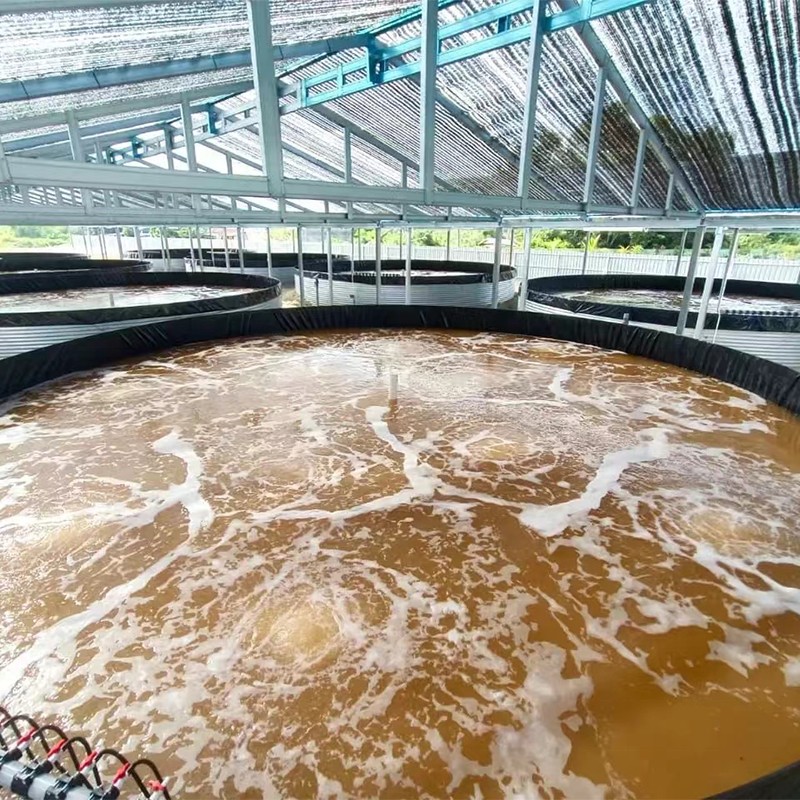 RAS & indoor farming — Zhongxin aeration system