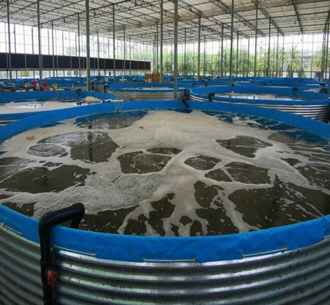 What are the benefits of aquaculture in galvanized sheet PVC canvas pool