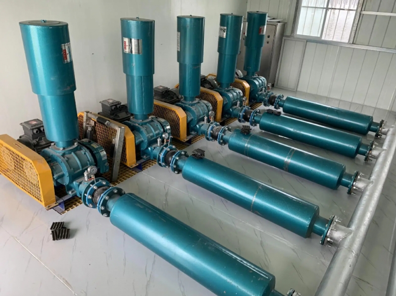 Performance characteristics of Roots blower for material conveying