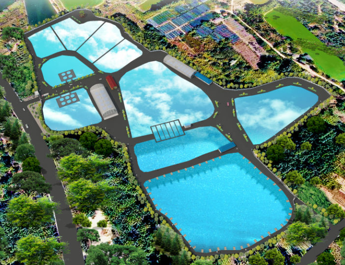 How to carry out aquaculture in the reservoir? Is aquaculture technology important?