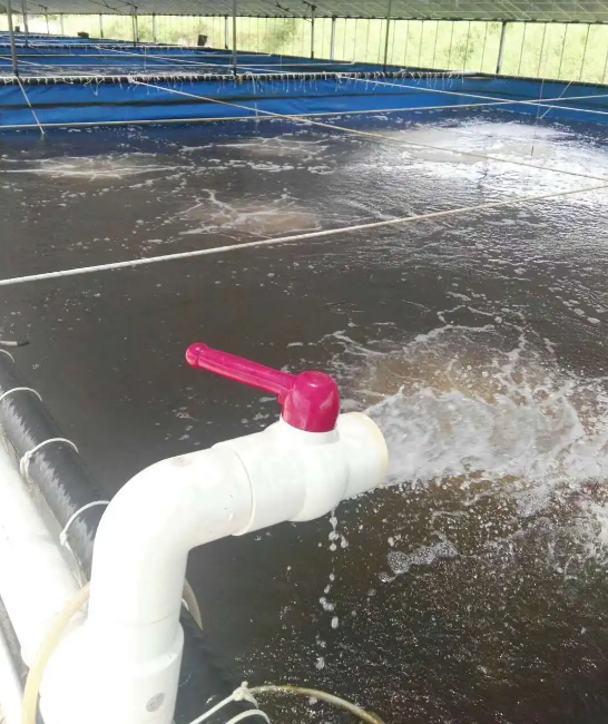 Galvanized sheet PVC canvas fish pond roots blower oxygenation design!