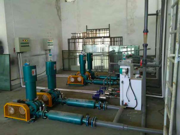 Process and Steps for Commissioning and Trial Operation of Roots Blower for Sewage Treatment